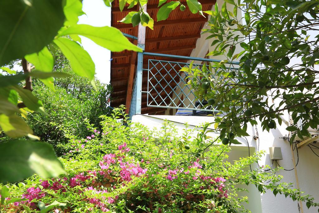 Cirali Irmak Hotel Kültér fotó