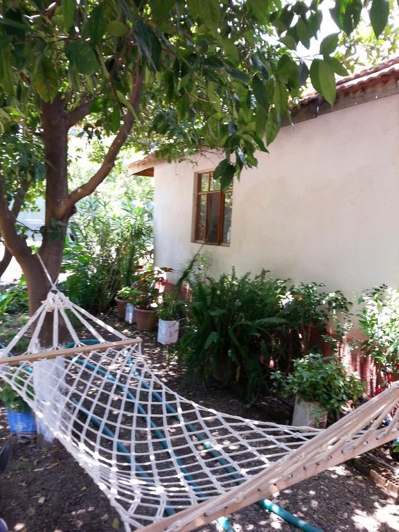 Cirali Irmak Hotel Kültér fotó
